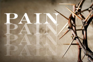 photo  of thorns illustrating Complex Regional Pain syndrome