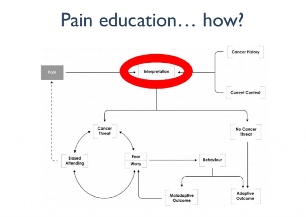 diagram of cencer rehab