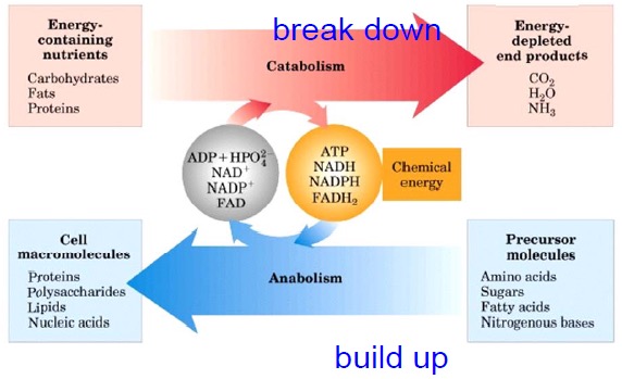 empowerment diagram